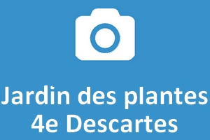 Jardin des plantes